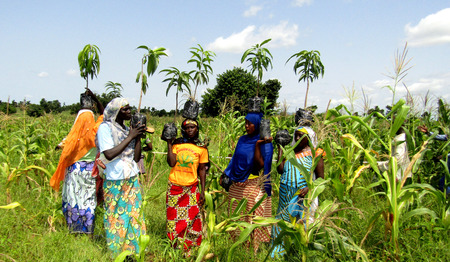 Kerk in Kameroen strijdt tegen honger en klimaatverandering