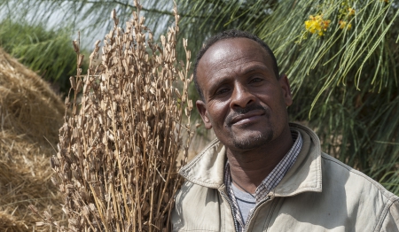 Ethiopische boeren droogte laten overleven