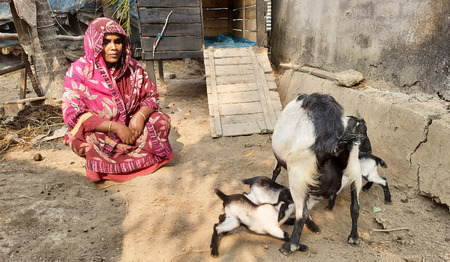 Monira Begum droomt van een eigen geitenboerderij