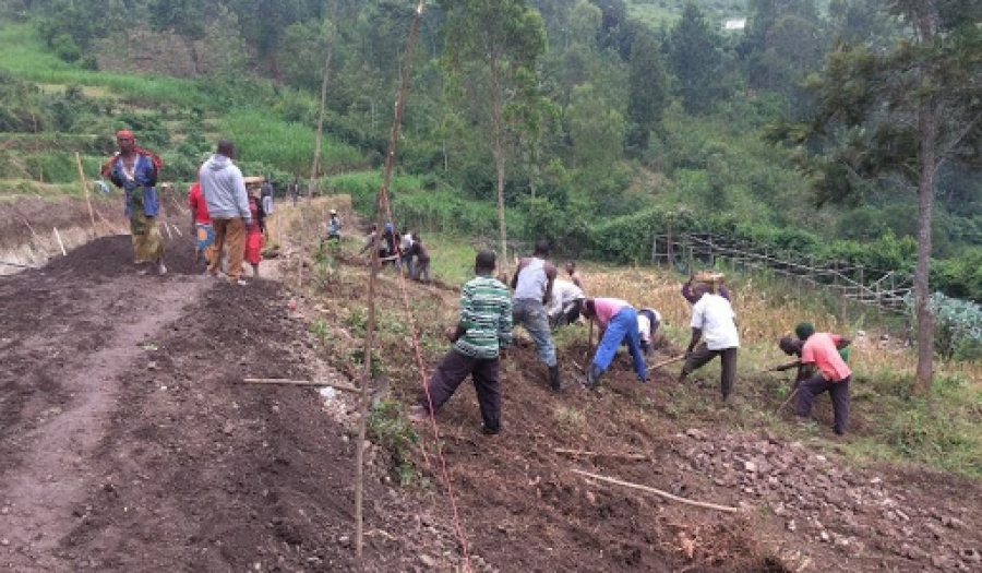 Nieuwe landbouwkennis verspreidt zich in Rwanda