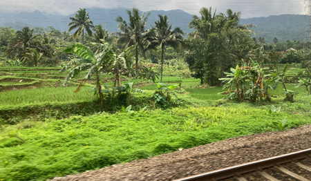 Bewustwording in de trein van Jakarta naar Yogya 