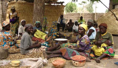 Meer voedsel en inkomsten voor gezinnen in Noord-Kameroen