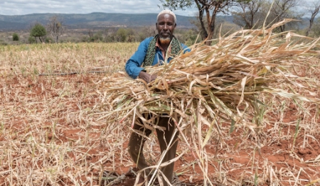 Geef Ethiopische boeren de kans om meer te oogsten