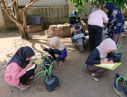 Kerk versterkt werk en positie van boeren (Zuid-Sumatra) | afbeelding 2119