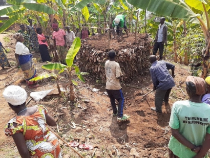Nieuwe landbouwkennis verspreidt zich in Rwanda | afbeelding 916