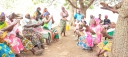 Voedseltekorten dreigen voor karitéboerinnen Ghana | afbeelding 928