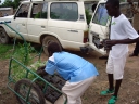 Duurzame landbouw in Noord-Kameroen | afbeelding 1437