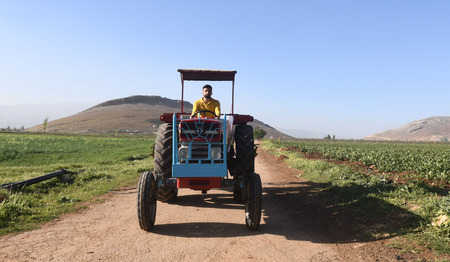 Meer oogst, meer werk, meer hoop voor boeren in Libanon  