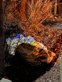 Samen bouwen aan herstel en veerkracht in Oekraïne | afbeelding 2164